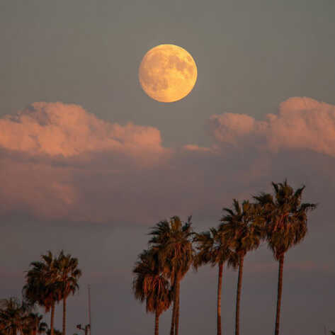 Marrakech et Alentours