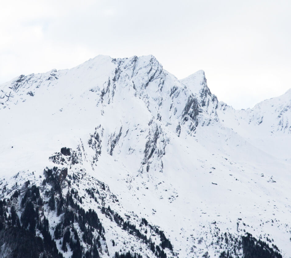 Swiss Alps