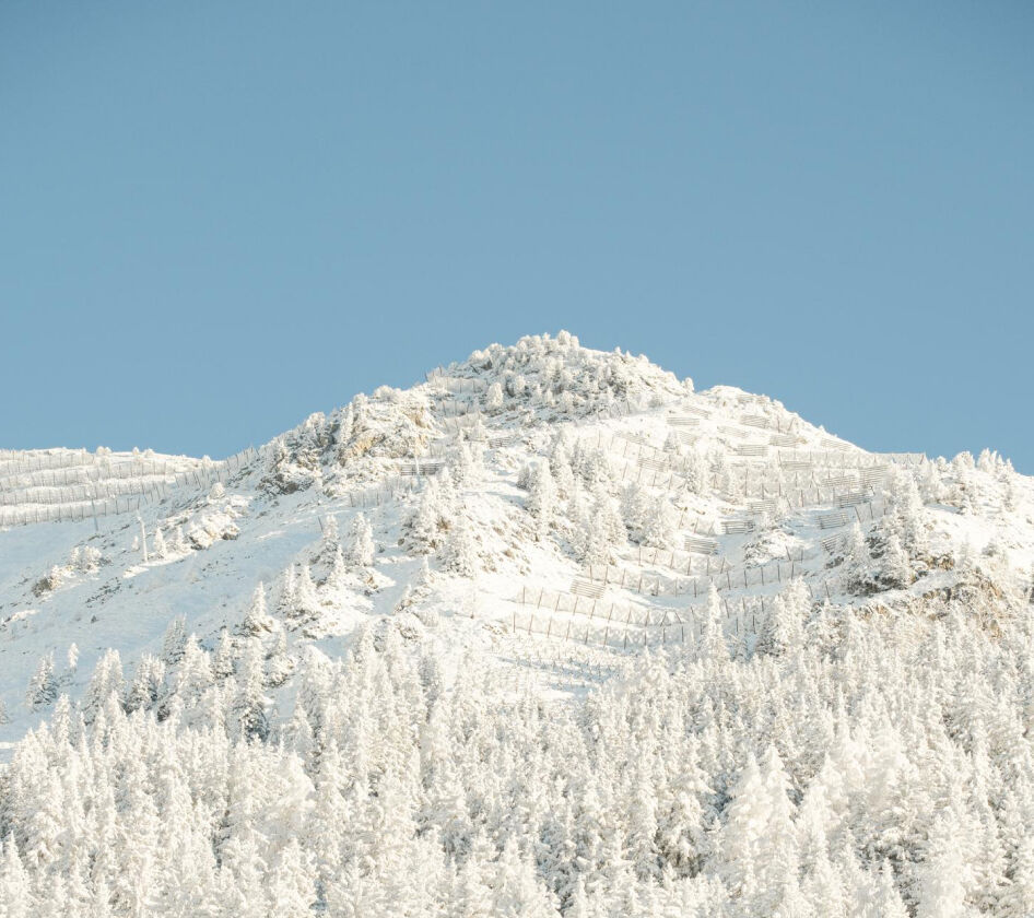 Verbier