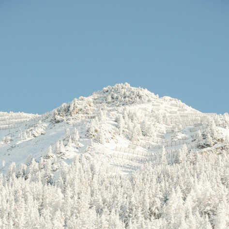 Verbier