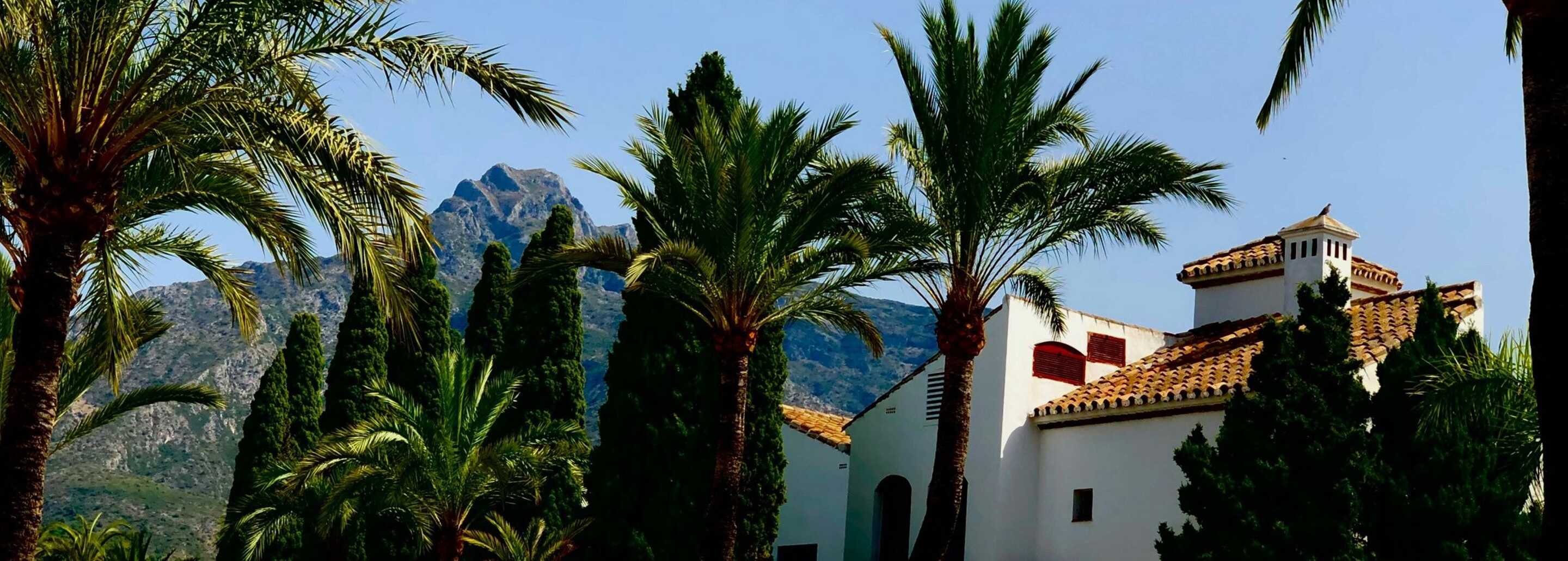 plages palmiers chaises longues mer villa de lux marbella