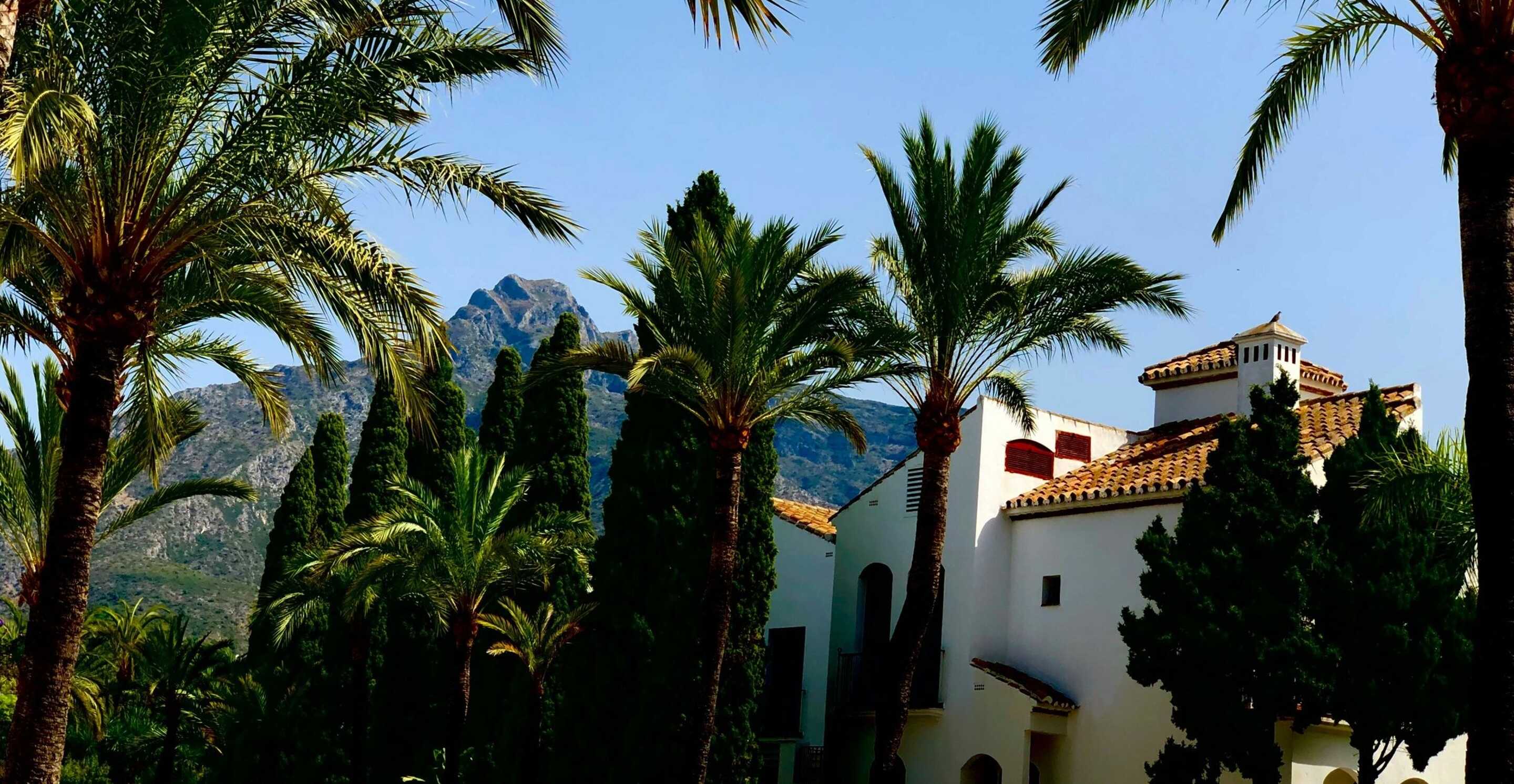 Palm trees in Marbella on the beach 