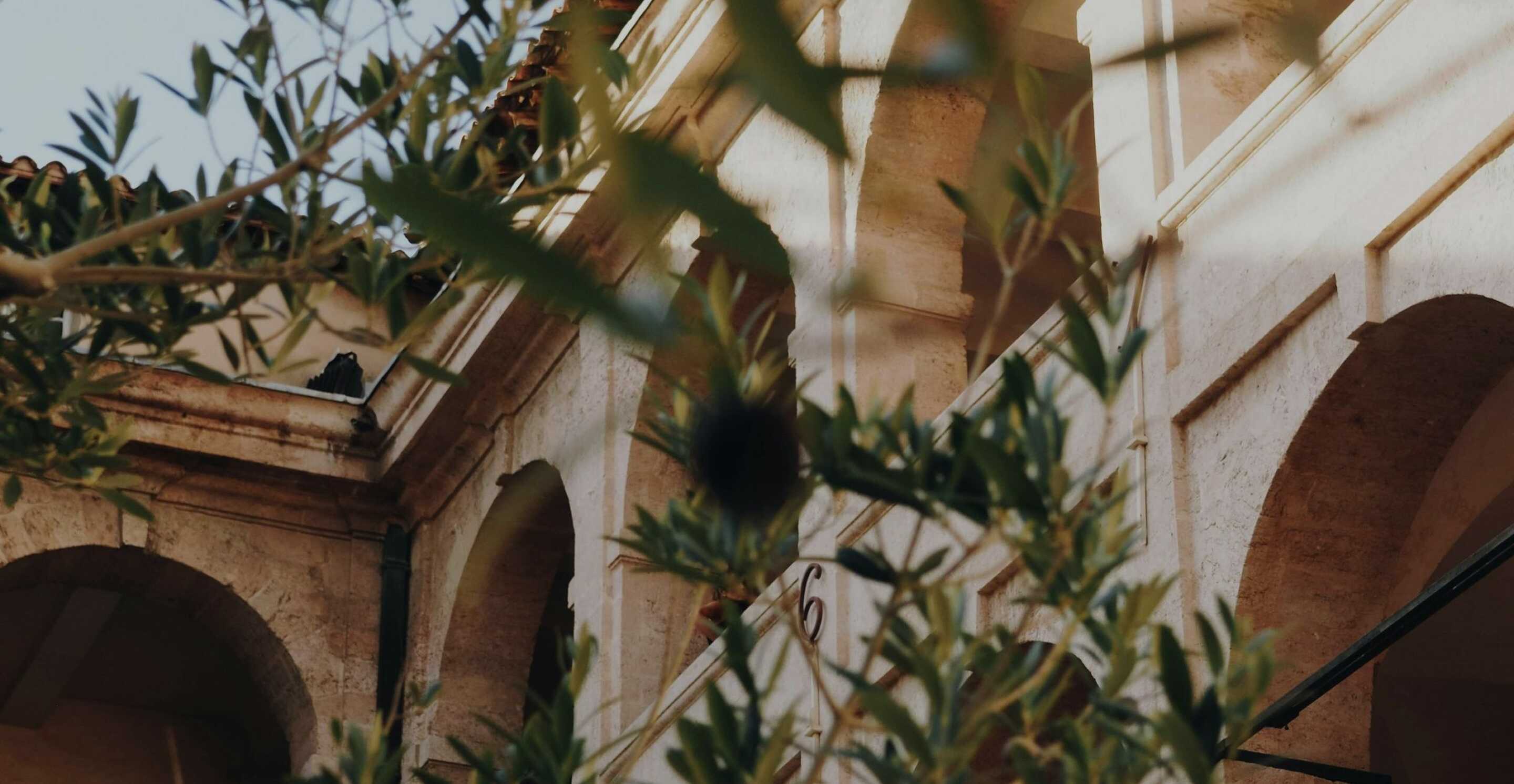facade-blanchie-a-la-chaux-d-une-trulli-traditionnelle-avec-jardin-villa-luxe-italie