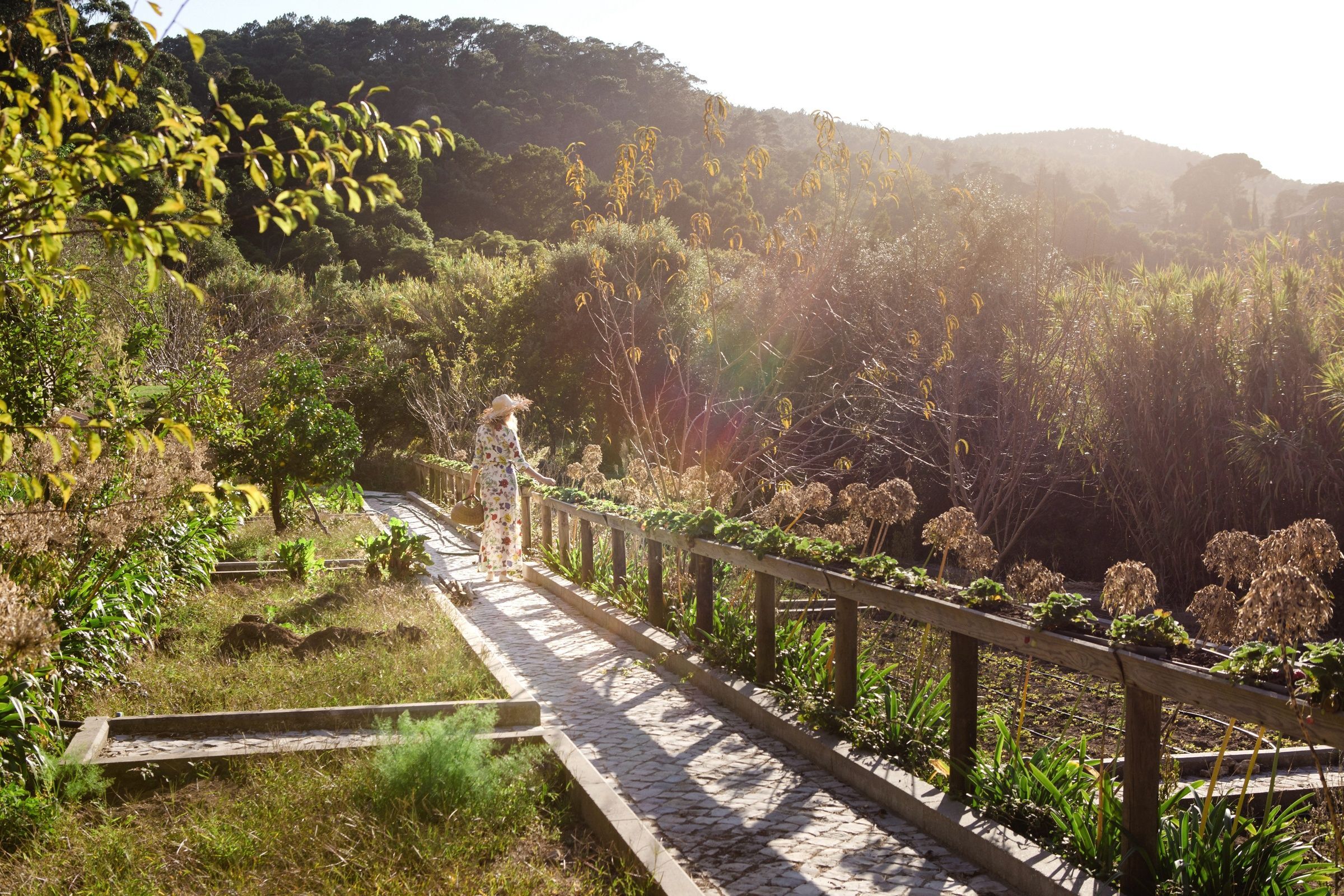 potager-soleil-couchant-campagne