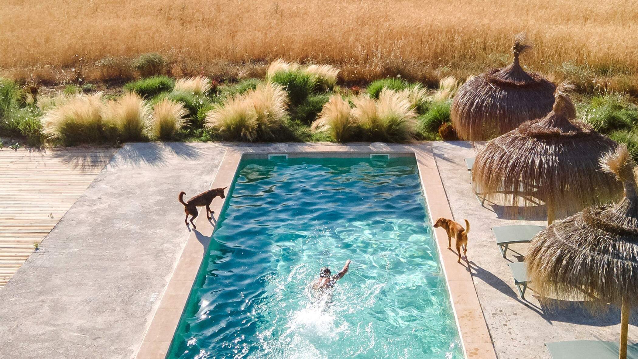 Curated visual reference: Gallery Detail: Our Pet Friendly Accommodations Dog Friendly Luxury Rentals