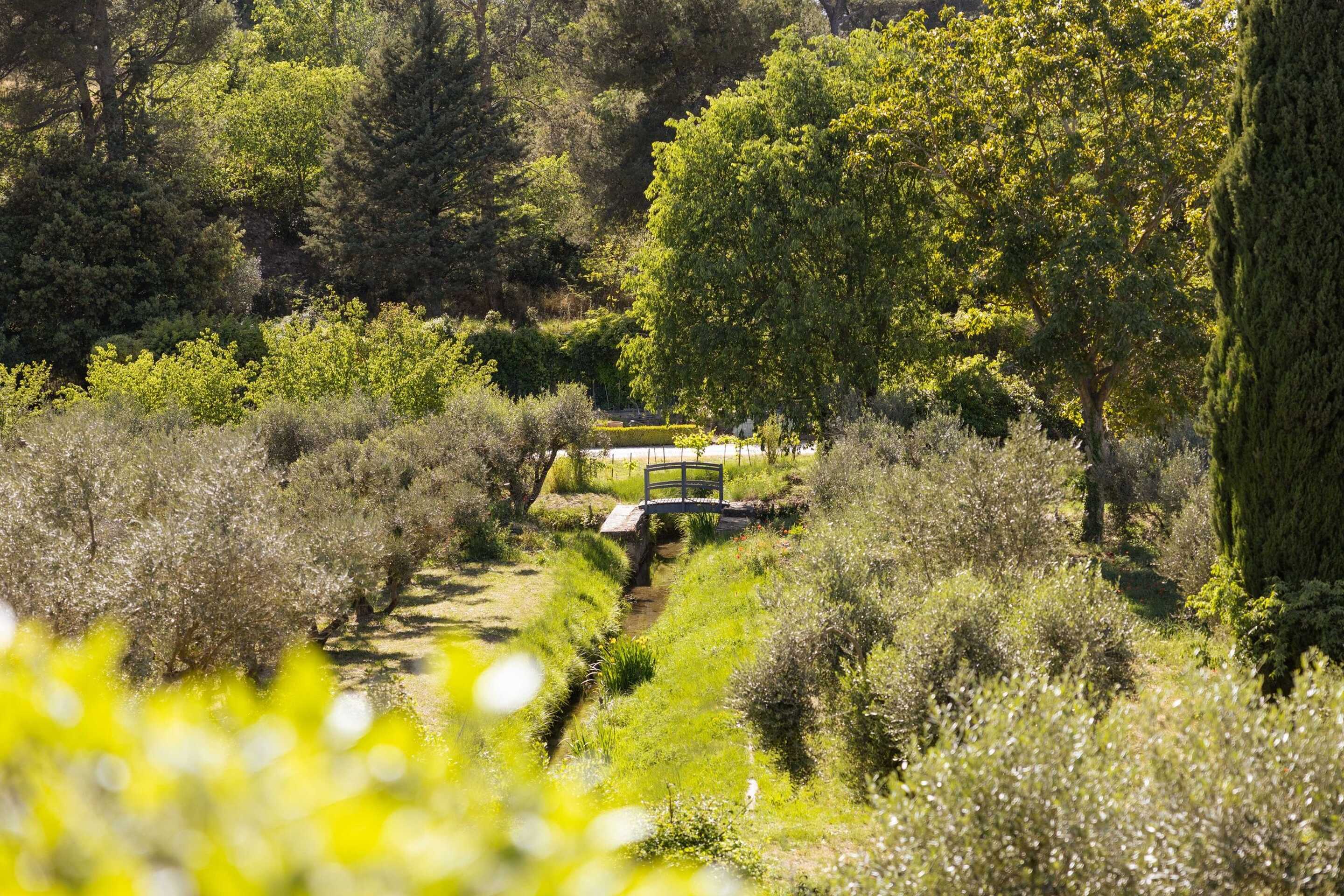 Green-trees-in-garden-in-south-of-france-villa-to-rent