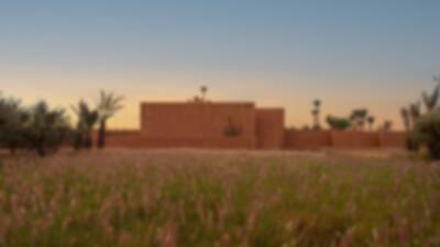 large-holiday-home-with-dusty-rose-walls-in-a-field