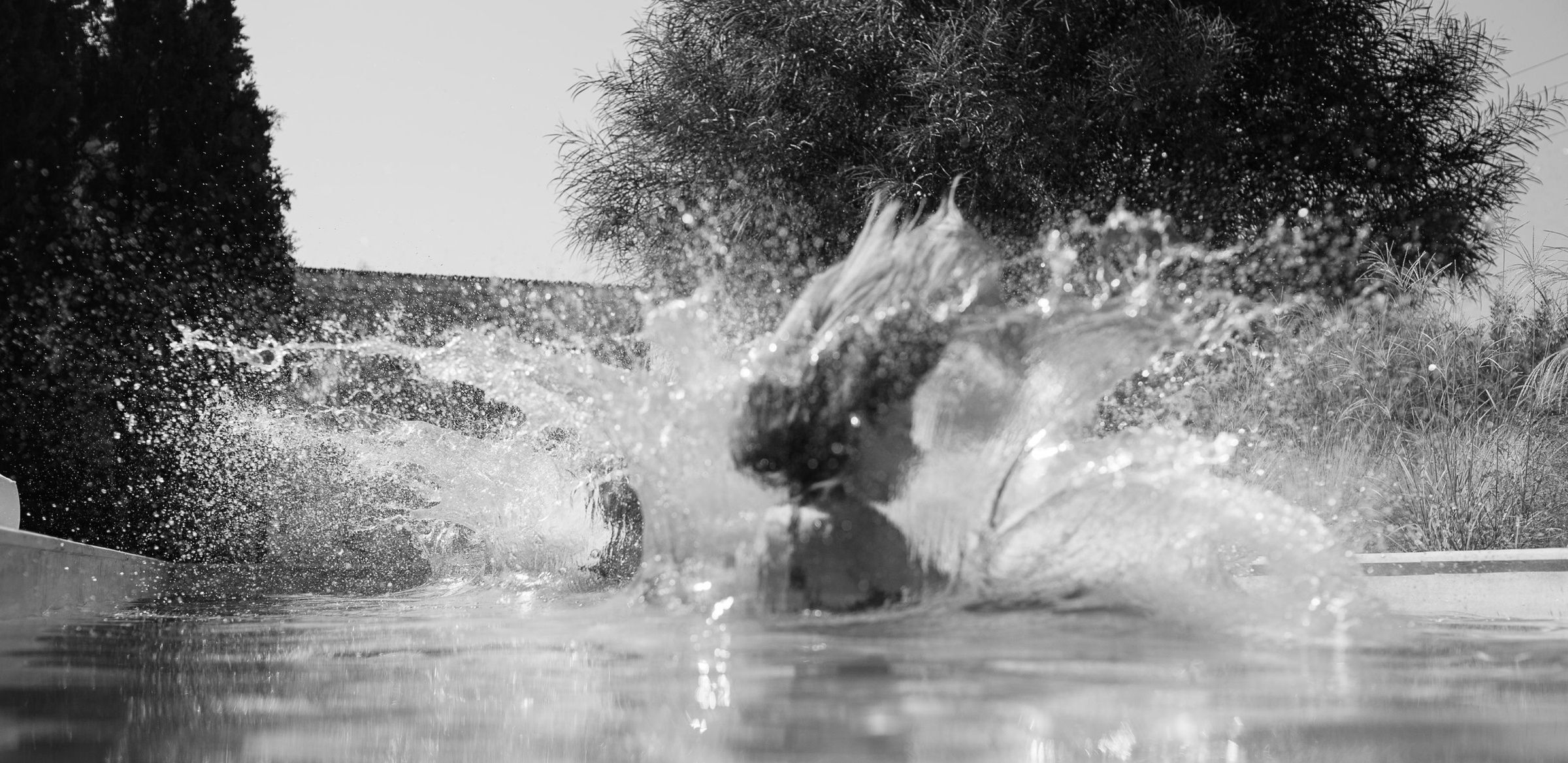 amis-et-famille-au-bord-de-la-piscine-location-de-vacances-d-ete 