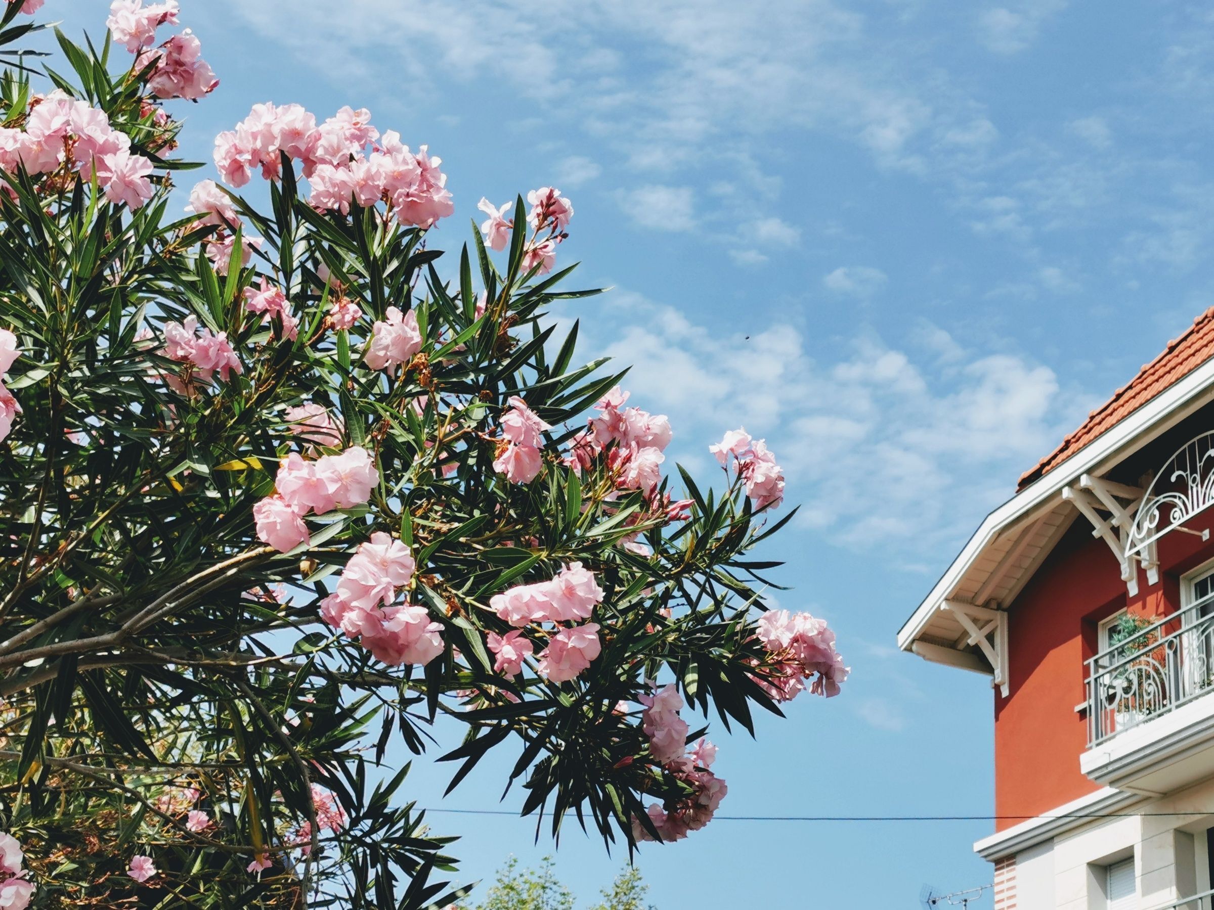 Arcachon bay luxury villas rentals