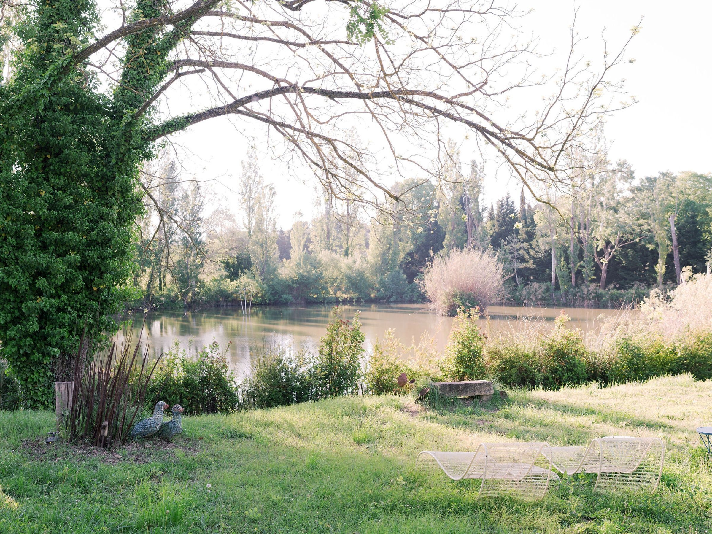 Domaine de Provence
