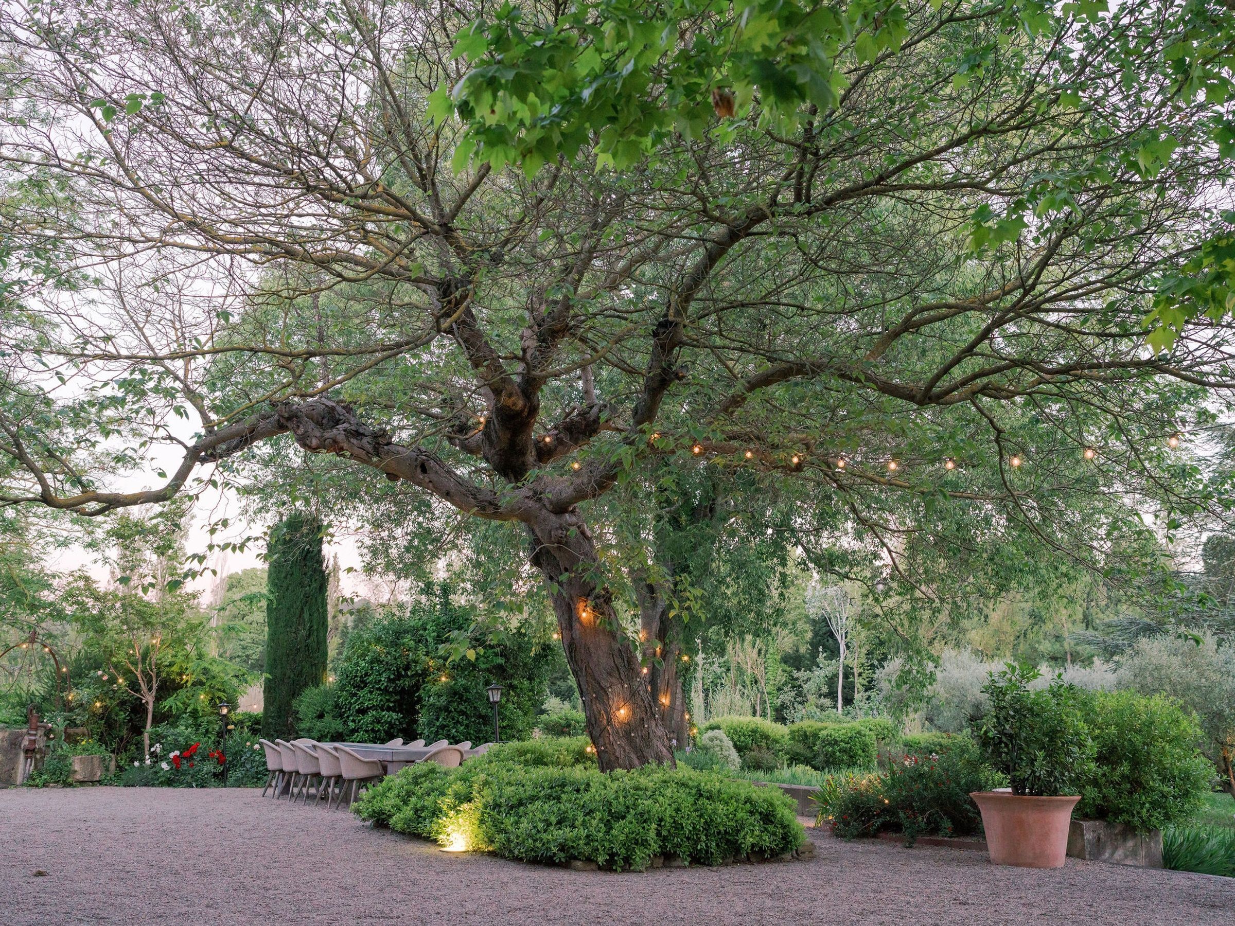 Domaine de Provence