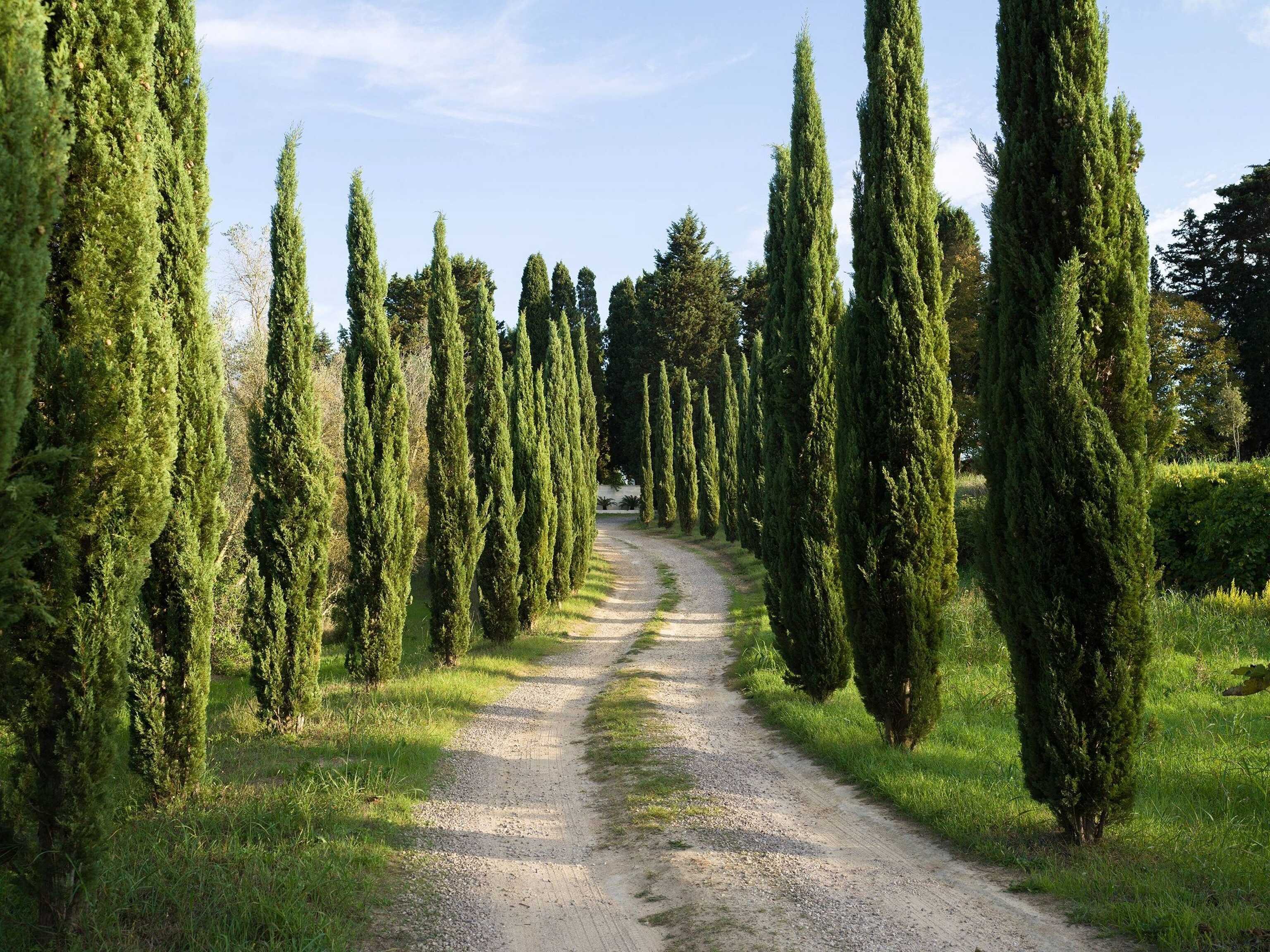 Villa Marius