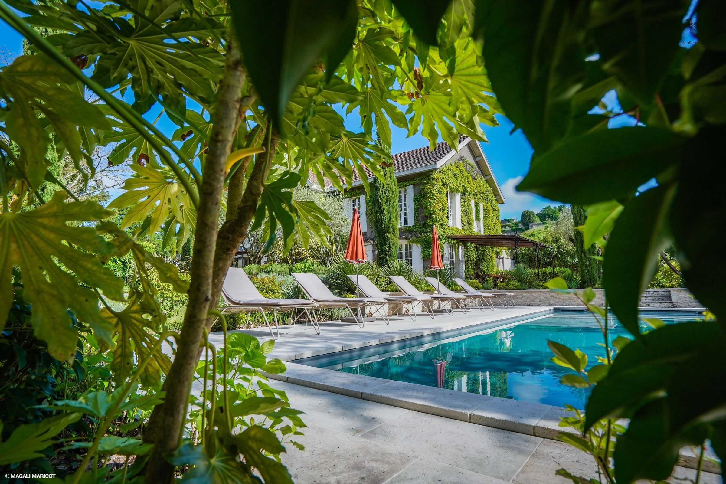Villa Vinea