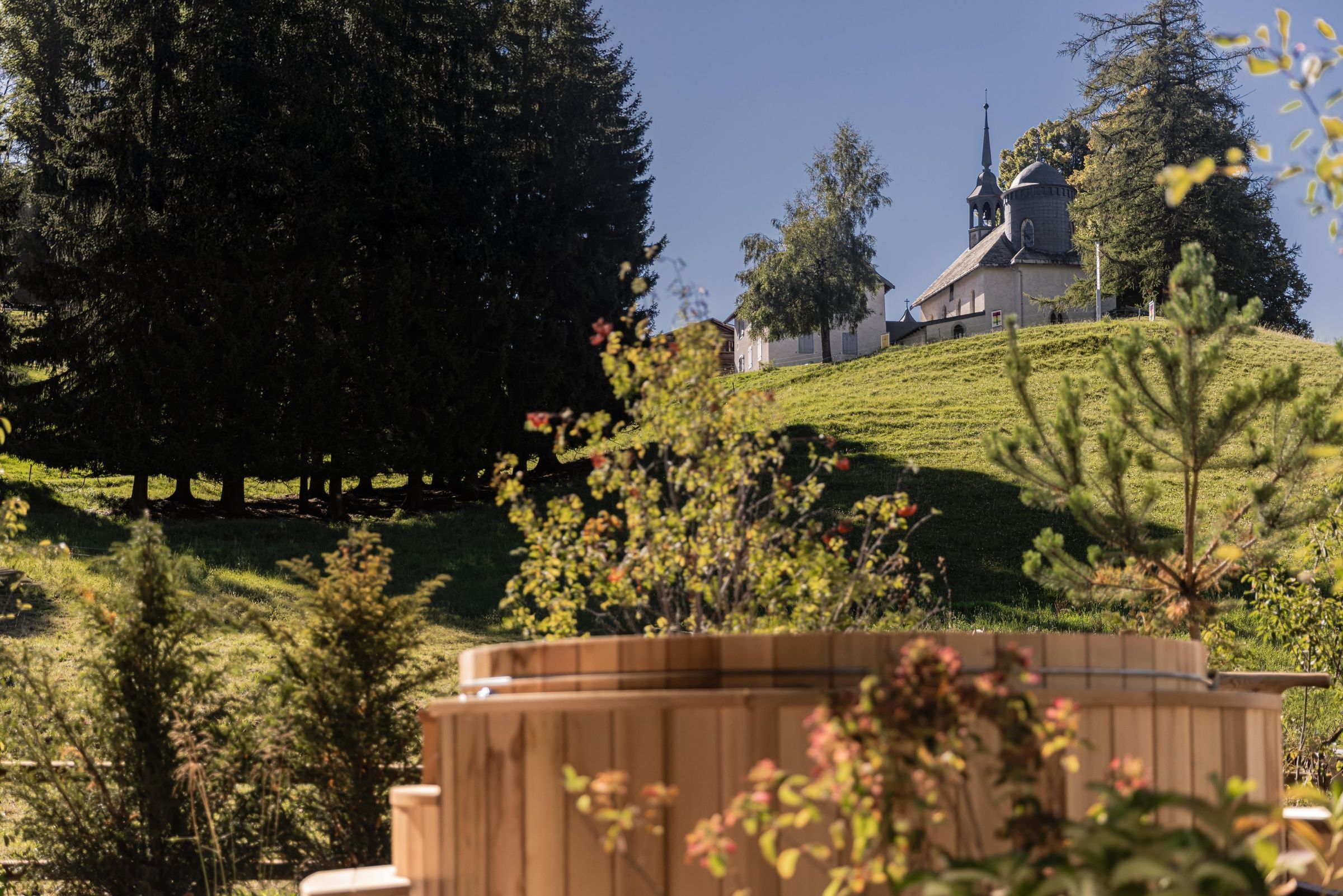 Chalet Le Sarto