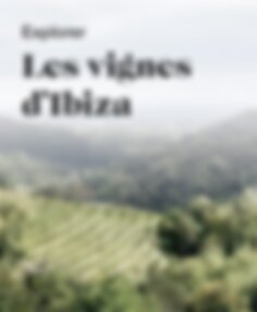 Explorer les vignes d'Ibiza
