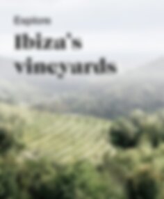 Explore Ibiza’s vineyards
