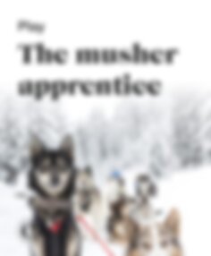 Play the musher apprentice
