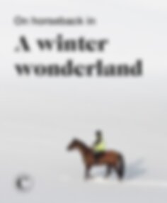 On horseback in a winter wonderland