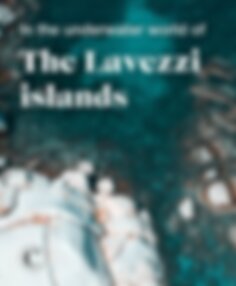 In the underwater world of the Lavezzi islands