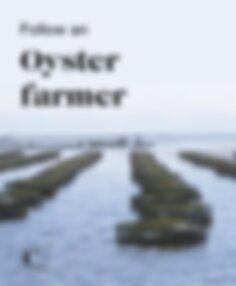 Follow an oyster farmer