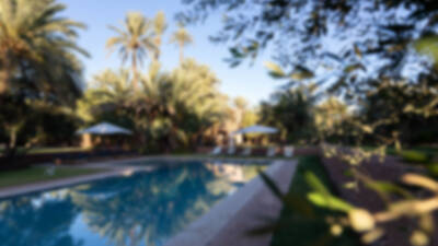 piscine-d-une-villa-marocaine-dans-un-jardin-verdoyant