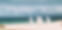 plage-de-sable-deserte-a-comporta