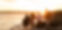 friends-group-sunset-beach