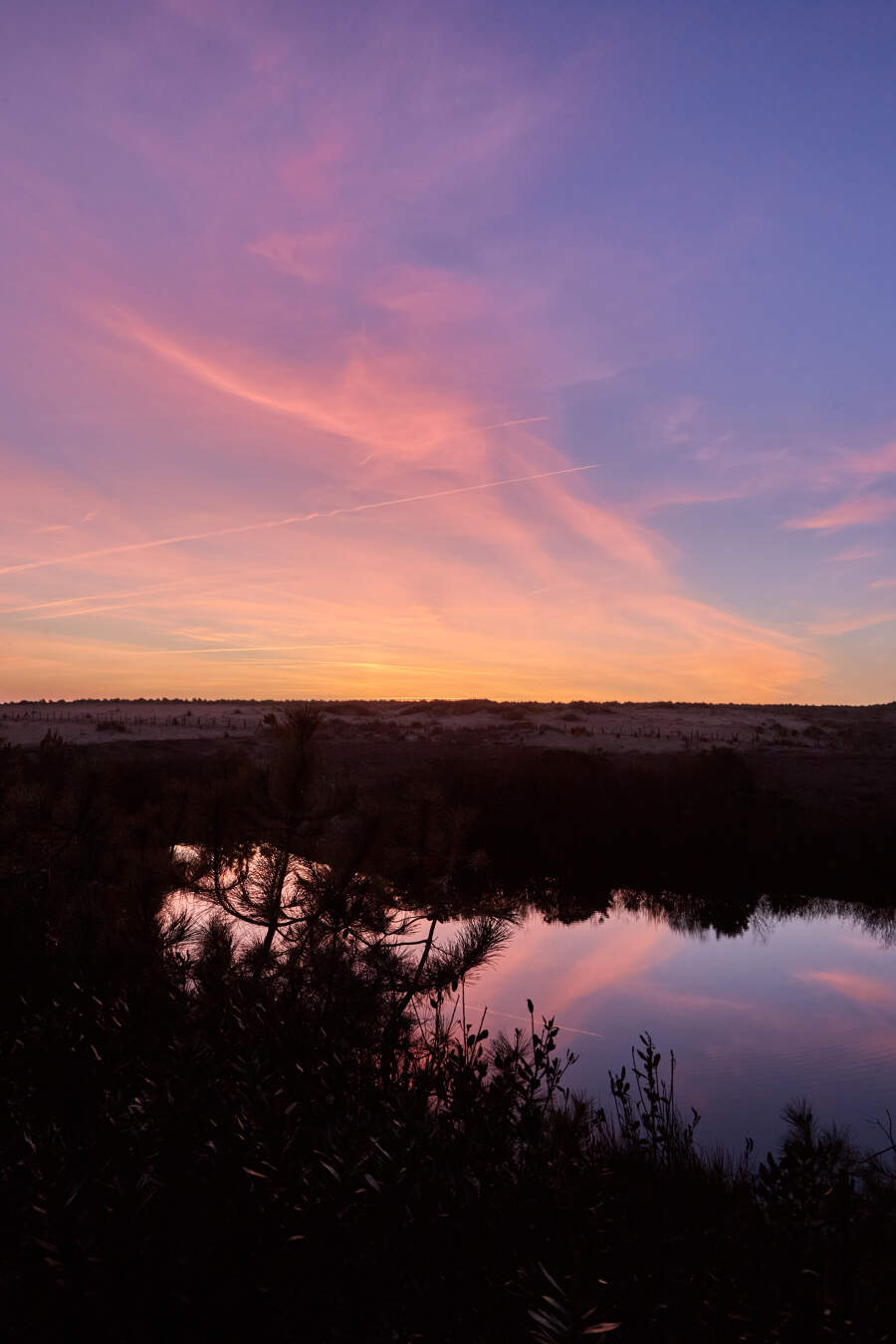 Villa Bérénice Hossegor & environs Le Collectionist