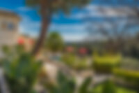 Villa Cycas